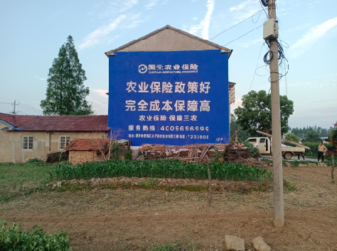 富民墙体广告为何受追捧？